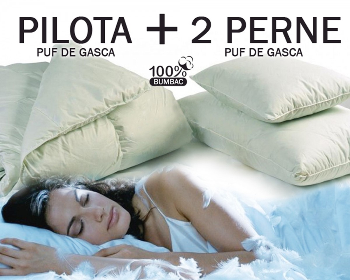 Set din puf de gasca: Pilota 200 x 230 cm + 2 perne 50 x 70 cm - 2 | YEO