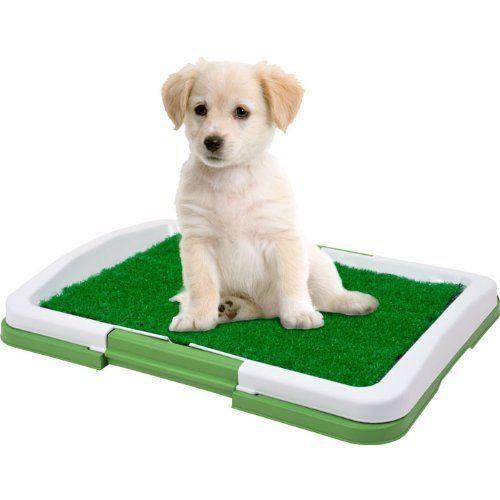 Toaleta cu iarba artificiala pentru animale, Puppy Potty Pad - 1 | YEO