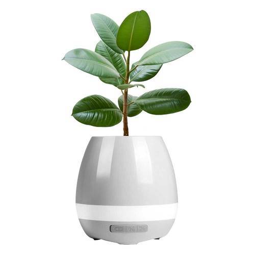 Ghiveci inteligent cu muzica si lampa de veghe, functie tactila