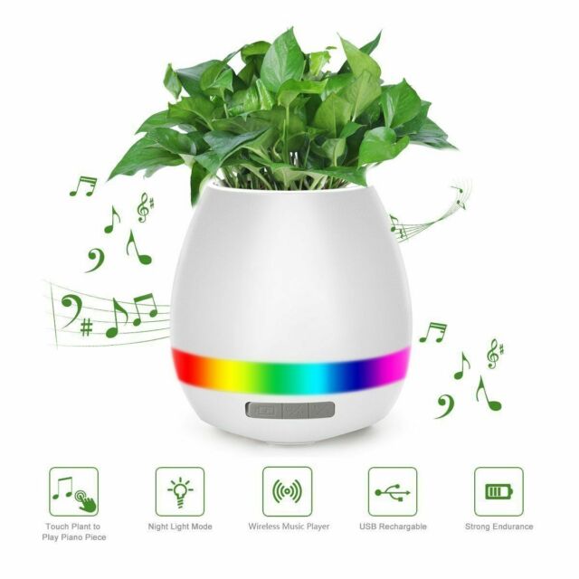 Ghiveci inteligent cu muzica si lampa de veghe, functie tactila