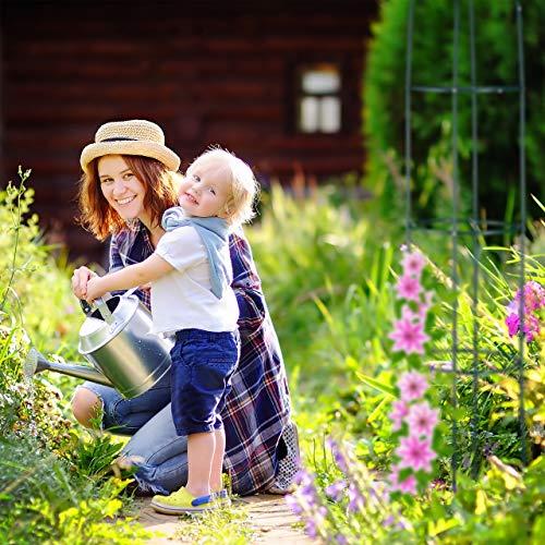 Suport metalic de gradina pentru trandafiri