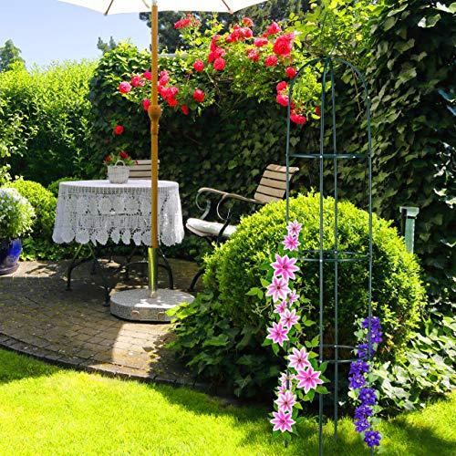 Suport metalic de gradina pentru trandafiri