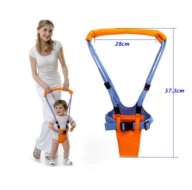 Set copii: Toaleta portabila + Ham bebelusi