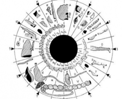 Suport Curs Online Iridologie - Elixirul tineretii