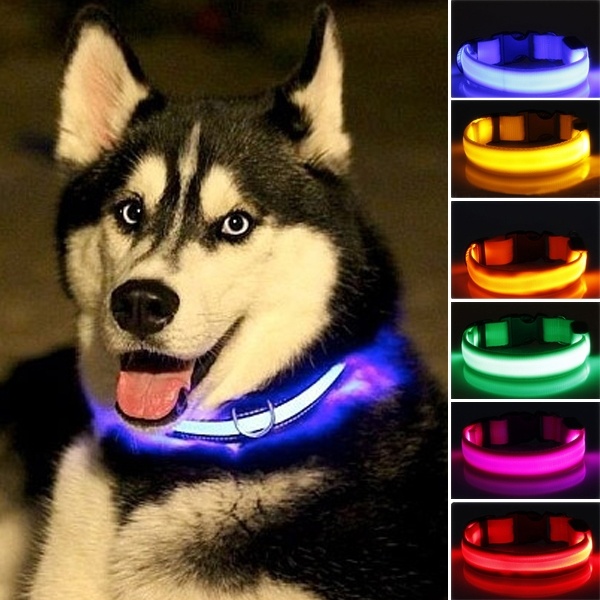 Zgarda led cu lumini multicolore pentru caini sau pisici