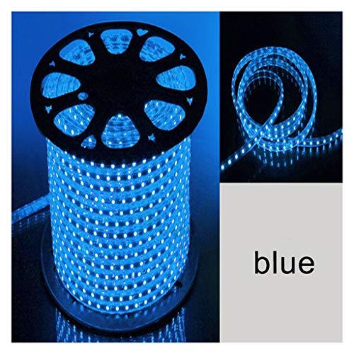 Furtun luminos LED 20 metri pentru exterior
