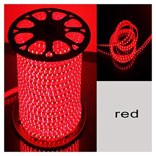 Furtun luminos LED 20 metri pentru exterior