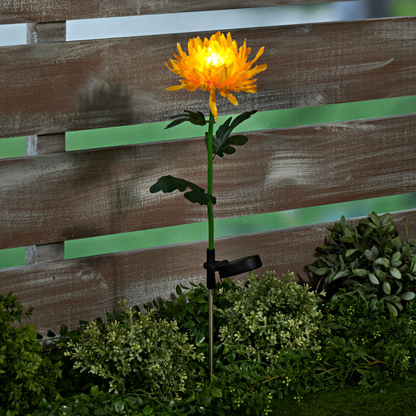 Set 2 x lampa solara, Crizantema