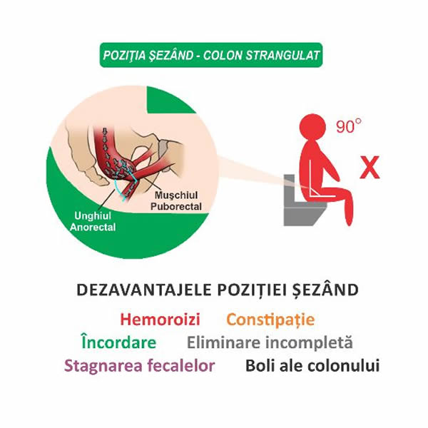 Taburet fiziologic WC impotriva constipatiei si hemoroizilor, ALB