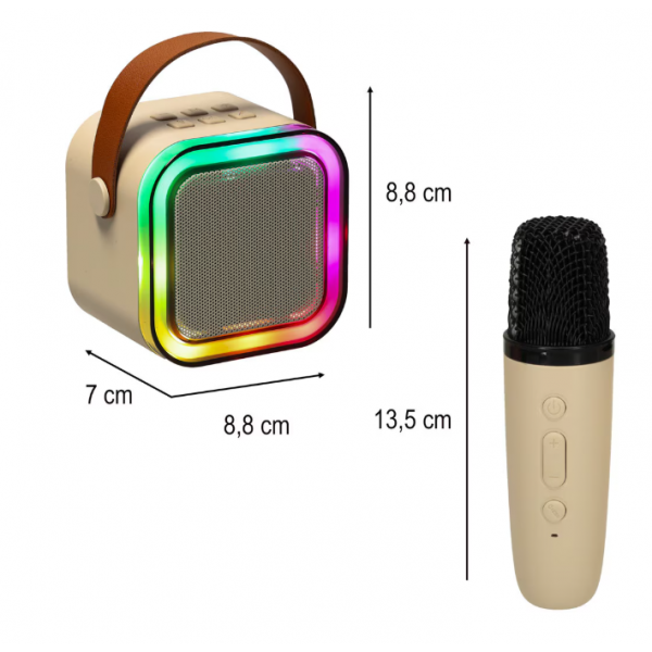 Set Karaoke cu 2 Microfoane, Boxa Portabila Bluetooth