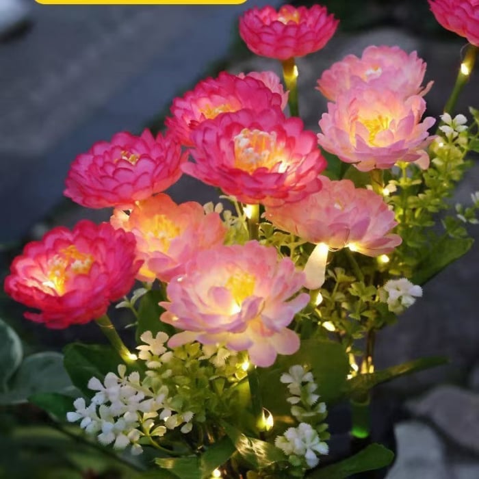 Set 2 x Lampa solara Bujori Roz 60 cm, iluminat ambiental gradina