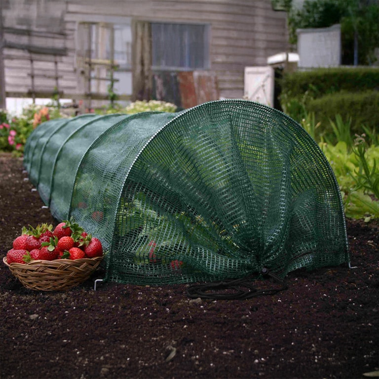 Set 5 x Tunel protectie plante 300x45 cm