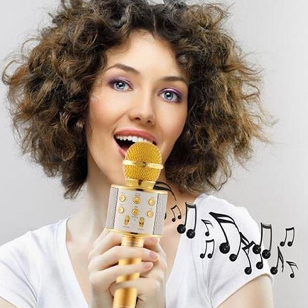 Microfon Karaoke Bluetooth WS-858