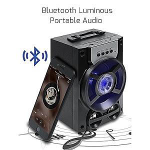 Boxa portabila, radio FM, baterie 1200 mAh, Bluetooth