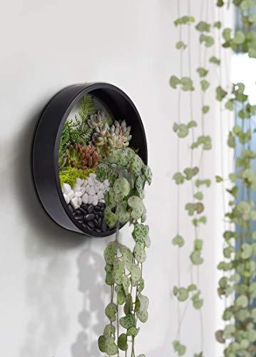 Etajera rotunda de perete, 18 cm diametru