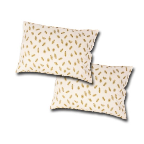 Set 2 perne din puf de gasca cu invelis din bumbac 50 x 70 cm