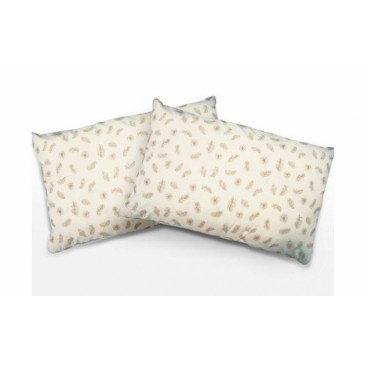 Set 2 perne din puf de gasca cu invelis din bumbac 50 x 70 cm
