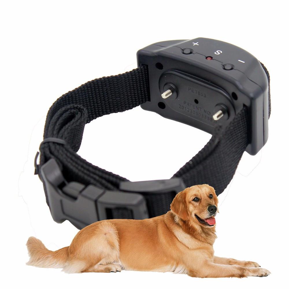 Zgarda antilatrat de antrenament Petrainer PET853
