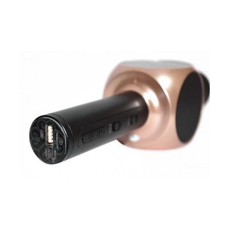 Microfon wireless sistem karaoke profesional cu boxe incorporate si Bluetooth Q9