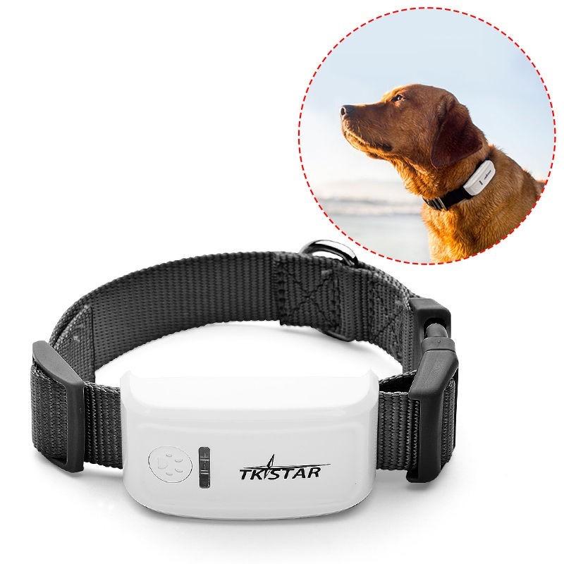 Zgarda cu localizare GPS pentru animale