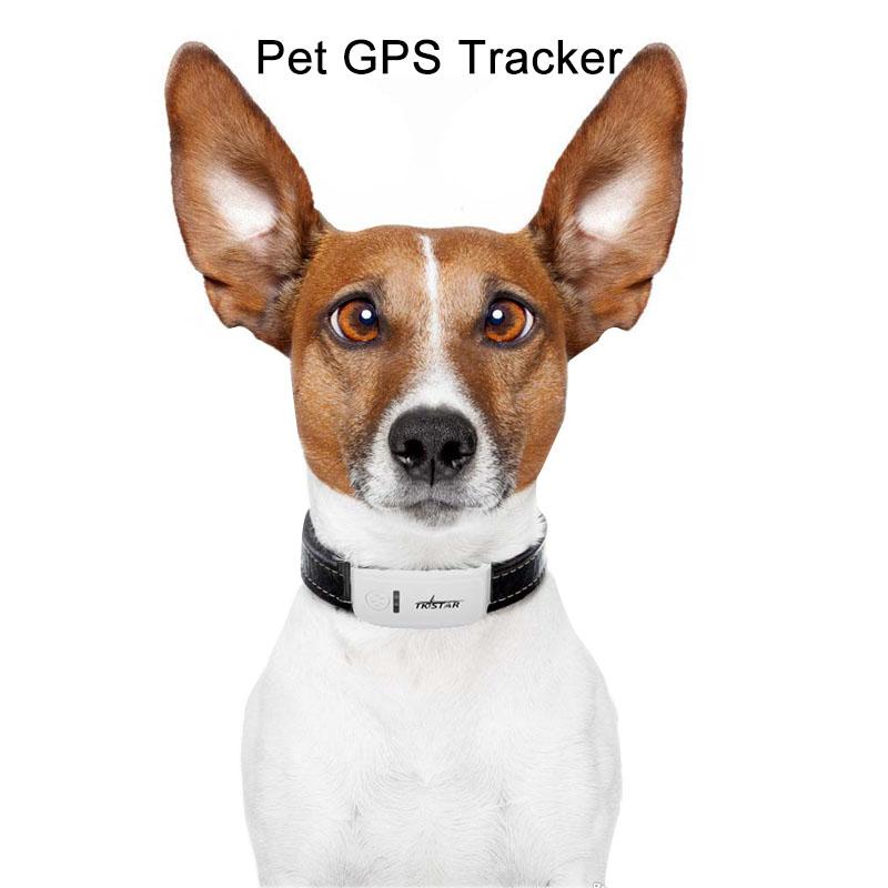 Zgarda cu localizare GPS pentru animale
