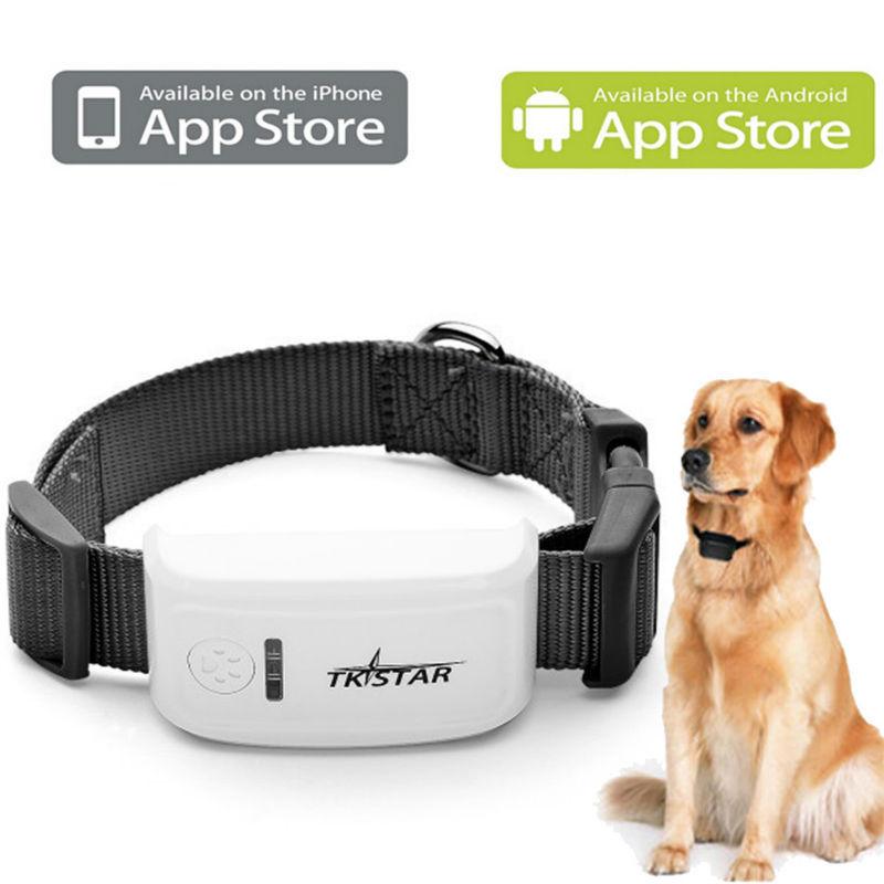 Zgarda cu localizare GPS pentru animale