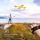 Drona anticoliziune, Quadcopter, Inductie, Gesture Control