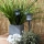 Set 5 x Lampa LED solara Inspire London, IP 44