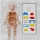 Jucarie educativa anatomie, model corpul uman