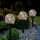 Set 3 x lampa solara LED - Sfera cu luminite,  23 cm