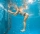 Spa de lux: 8 intrari la piscina interioara + 8 sedinta sauna + 8 sedinte fitness