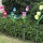 Set 2 x lampa solara Lalele decorative, 70 cm, IP 66
