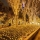 Instalatie LED cu franjuri lungi 1 M, Lungime 25 M, 500 LED, Alb Cald