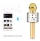 Microfon Karaoke Wireless Bluetooth WS-858