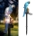 Set 2 x Lampa solara de gradina, papagal albastru