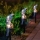 Set 2 x Lampa solara de gradina, papagal albastru