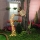 Set 2 x Lampa solara decorativa - Stropitoare