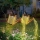 Set 2 x Lampa solara decorativa - Stropitoare