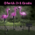 Set 3 x Lampa solara, Flamingo - lumineaza 8 ore