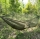 Hamac cu plasa antiinsecte, 140x260 cm, Verde Kaki