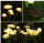 Set 4 x lampa solara 6 LED Jellyfish, Alb cald