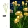 Set 4 x lampa solara 6 LED Jellyfish, Alb cald