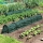 Set 10 x Tunel protectie plante 300x45 cm