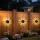 Set 6 lampi solare, LED RGB