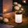 Set 4 x Candela solara LED, lumanare cu efect de flacara, Alb