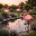Set 3 x Lampa solara pentru gradina, Flamingo IP 44
