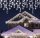 Secret Santa - Pachet 5 instalatii