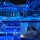Instalatie franjuri 1000 LED, 50 Metri lungime, Albastru