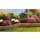 Bordura din plastic cu aspect de piatra