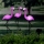 Set 3 x Lampa solara Flamingo 52 cm